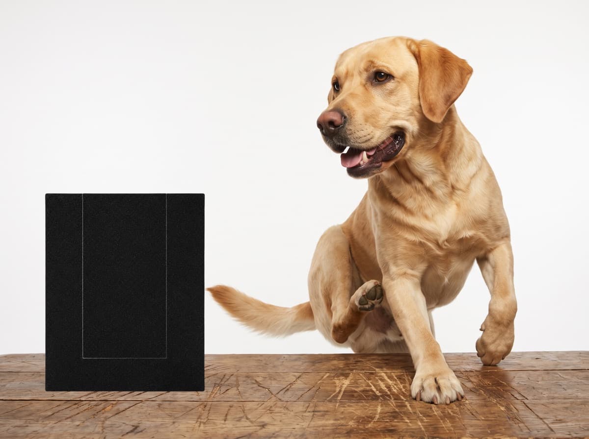 Dog scratching NailEase wooden nail board for a treat