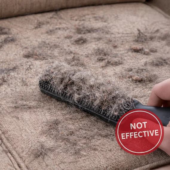 Rubber brush failing to remove embedded pet hair from a sofa